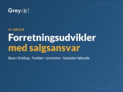 GreyIT søger forretningsudvikler med salgsansvar